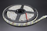 ЛЕНТА СВЕТОДИОДНАЯ 24V 5050 SMD 60LED 14,4W IP65 5000К