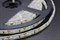 ЛЕНТА СВЕТОДИОДНАЯ 24V 2835 SMD 120LED 12W IP65 5000К